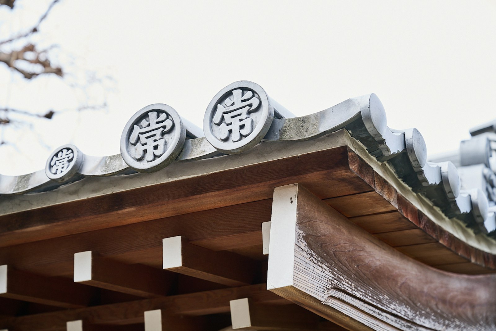 KADOMA ART FES 5 風景
